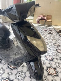 سكنس فحل • نوزل • منفيس