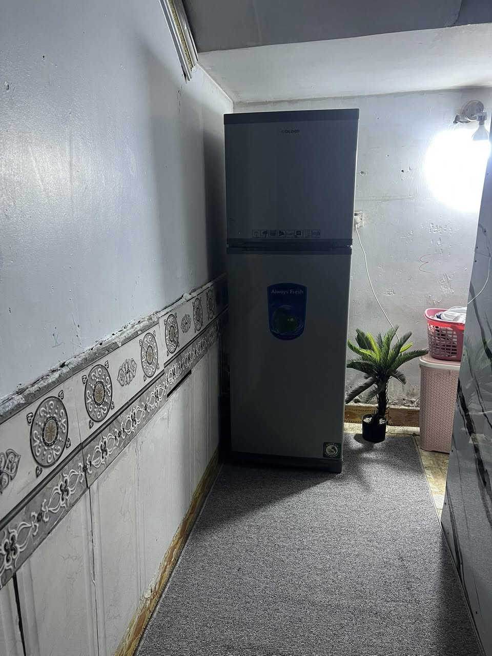 السلام عليكم ثلاجه 21قدم مابيها اي ضرر الاستفسار ع الخاص


**إذا كنت صاحب هذا الإعلان وتريد حذفه لأي سبب، رجاءا أرسل رسالة إلى الدعم الفني**