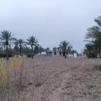 الرمادي البوفراج الثانية • ٤ دونم • طابو زراعي