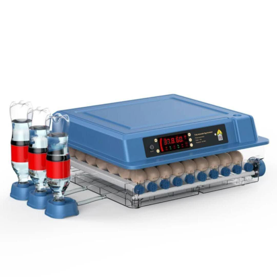 داشکاندنی وادوباره نابیته وه تۆش داوای بکه
#هەڵێنەری_جوجکەی_ئەصڵی_فول_ئۆتۆماتیک .
داشکاندنی وادوباره نابیته وه
_ بۆ هەموو جۆرە هێلکەیەک دەبێت .داشکاندنی وادوباره نابیته وه 
_    80  هێلکەیی و65هیڵکه یی فول ئۆتۆماتیک .
_ پێویستی بە 50 واط کارەبا هەیە بۆ کارکردن .
_ بەکارەبا و بە پاتری کاردەکات .
_ لایتی فەحسکردنی هێلکەی لەگەڵدایە پێویست ناکات 
    هێلەکان لەمەقفەسەکە دەرکەی .
_ سێ قاعیده ی ئاوی له گه له
_ ڕێژەی شێ و پلەی گەرمی لەسەر شاشە نیشان دەدات .
_ پلەی گەرمی ئۆتۆماتیک .
ــ خولانەوەی هێلکە ئۆتۆماتیک .
   🚗گەیاندن بێ بەرامبەرە بۆ سەرجەم شار و شارۆچکەکان .
***********
