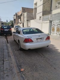 شاهينه • ٢٠٠٤ • رقم نجف