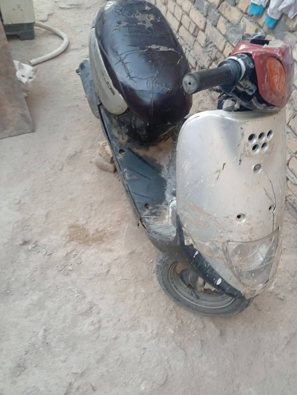 السلام عليكم منغولي نثيه شغله ابيع كوم حديد الناصريه مركز السعر 130


**إذا كنت صاحب هذا الإعلان وتريد حذفه لأي سبب، رجاءا أرسل رسالة إلى الدعم الفني**