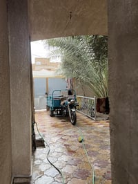 ستوته • كهربيات • سلف