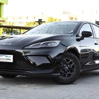 بي واي دي سيل • أسود قِطران • مشى قليل