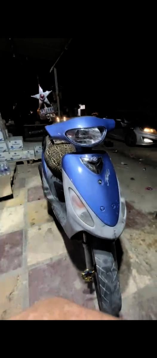 مـاكـس منغـولـي للبـيع 
الـدراجه مامفتوحـه 
بوشه 49 بلاد
السـعر 600 وبيها مجال قليل 
عنوان نجف حي مـيسان 
شرايي الخاص مفتوح


**إذا كنت صاحب هذا الإعلان وتريد حذفه لأي سبب، رجاءا أرسل رسالة إلى الدعم الفني**