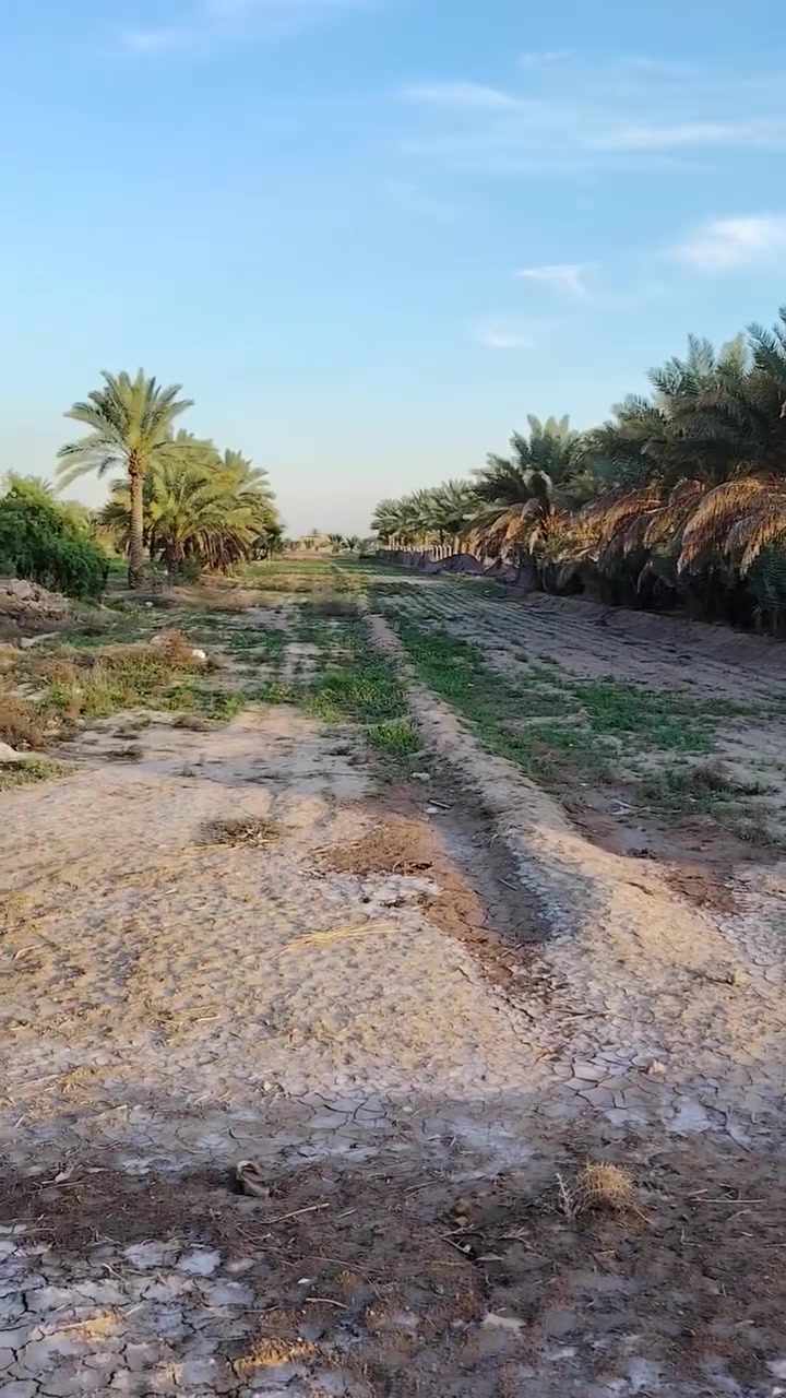 ارض زراعيه للبيع المساحه دونمين ونص طابو زراعي سند ٢٥ الموقع حله ابي غرق خلف مجمع الكوثر السكني خدمات موجوده مي تبليط كهرباء للستفسار ***********
