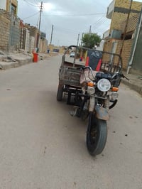 ستوته • موديل ٣١ • شطره