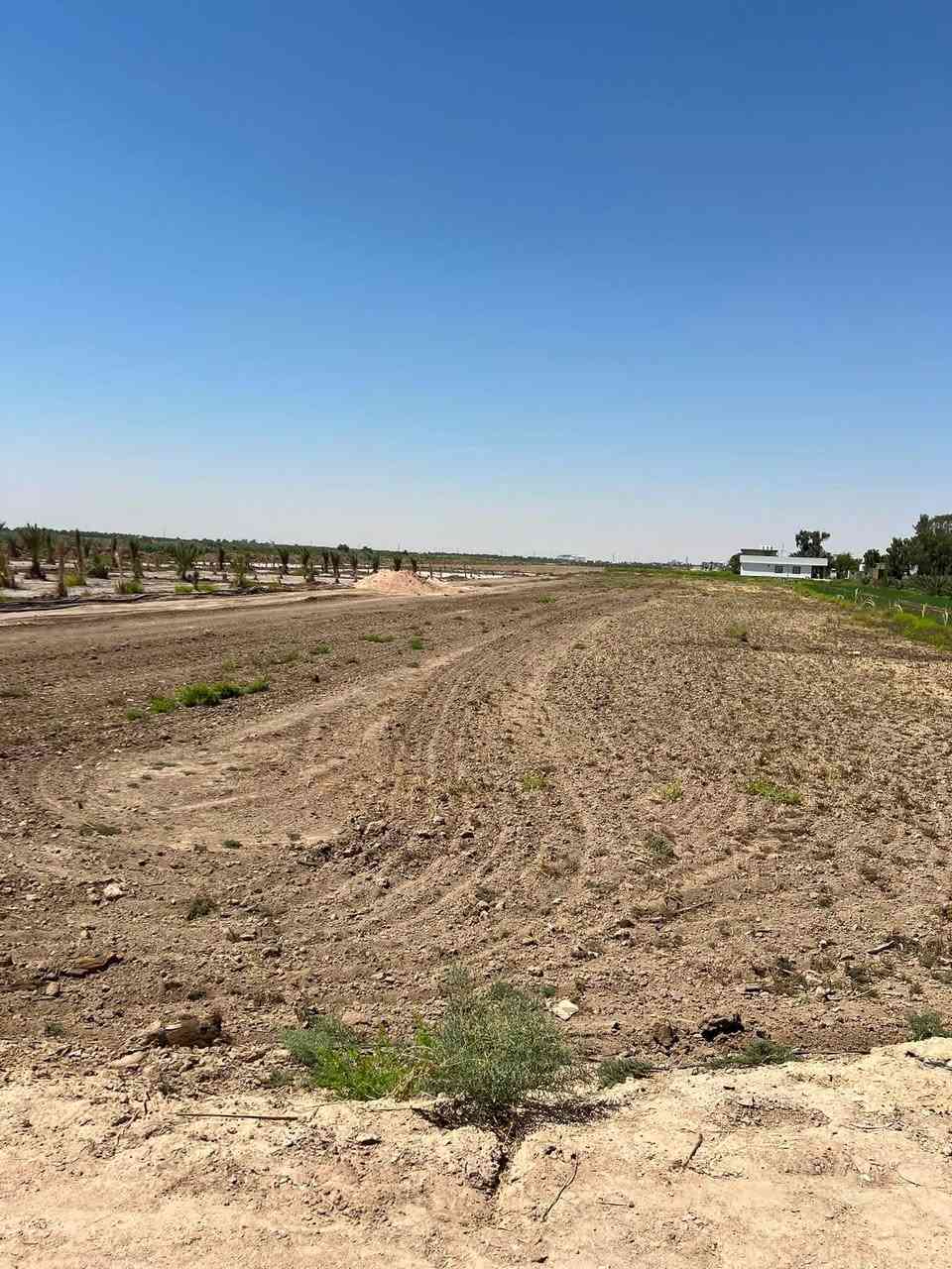 ✅توجد ٣ دوانم للبيع طابو زراعي ٢٥ كافه الخدمات 

✅الموقع طريق كربلاء نجف عمود ١١٤١ منطقة الجذار قرب مدرسه المجتبي 

سعر الدونم ٧٥ مليون وبيه مجال للشراي 

للاستفسار الاتصال ***********
