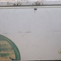 مجمدة • عاطلة • حله