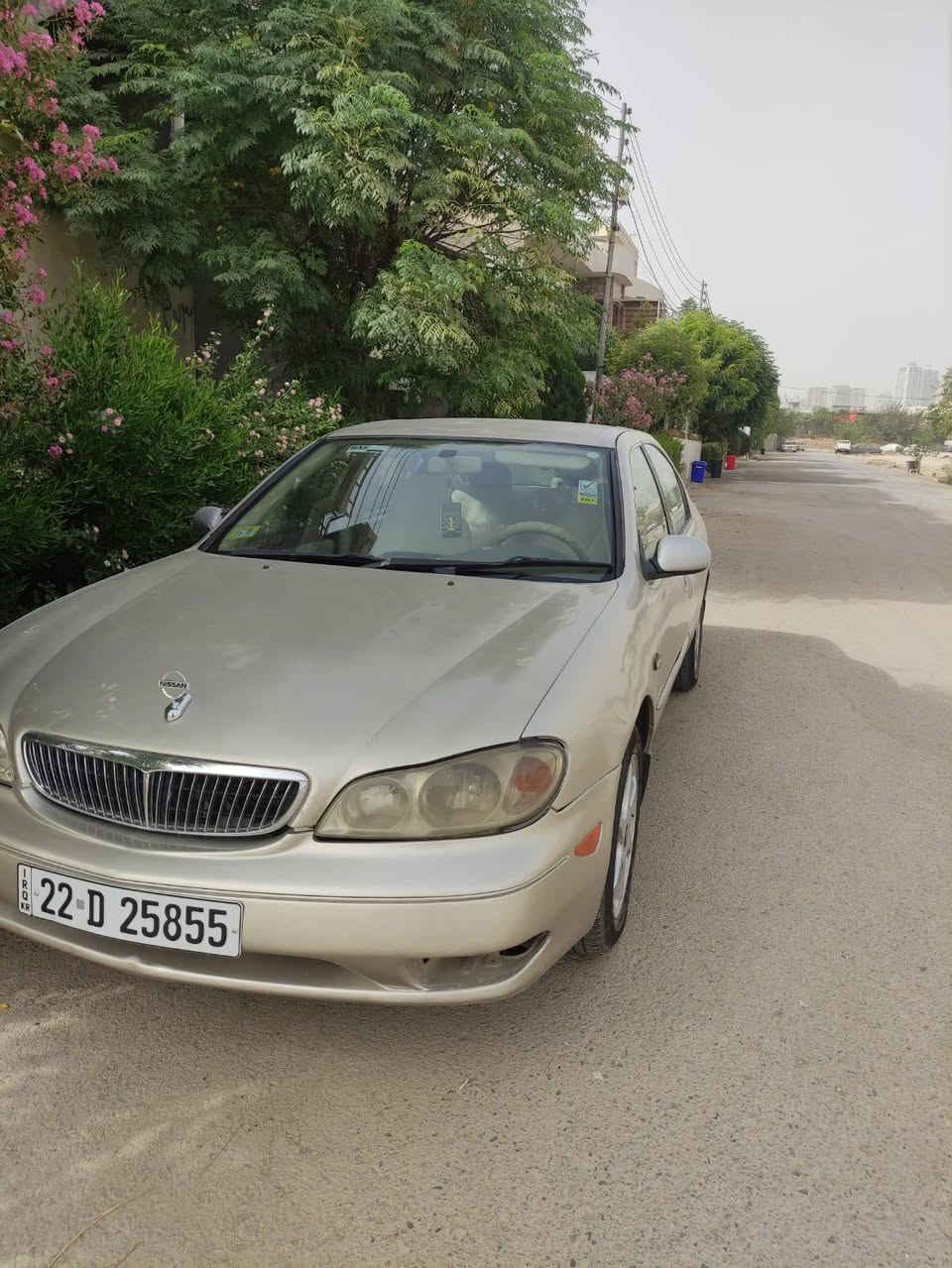 ماشاءاللە لەماڵی هەموولایەک
نیسان ماگزیما مۆدێل 2000هەزار
ژ.ت(***********)ڤایبەرو واتسئاپ
تەحوویلی ئەسڵیە بۆ هەموو عێراق
ناو زەردو گێڕ تۆماتیکە
قفڵ مەرکەزی و جام کارەبای و سندووق کۆنتڕۆڵە.کووشن جڵدە
گێڕو مەکینەی گۆڕاوە بە کامیری 2002
حیزام بۆیاخە بەبێ دەحم
سەنەوی تازەیە تاکوو 2030 بەناوی خۆمانەوەیە
تەحوویل و غڕامە بەشەرت
چوار وویل و تایەی جوانی لەژێرە
سعری خوار هەموو بازاڕ 45 گەڵاو کەمێک مەجال
شوێن ڕانیە.. رانية, السليمانية
