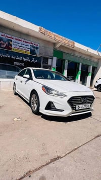 سوناتا • ٢٠١٩ • وارد كندي