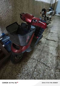 منغولي • شغاله • ١٠٠