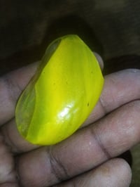 للبيع • زبون حارص