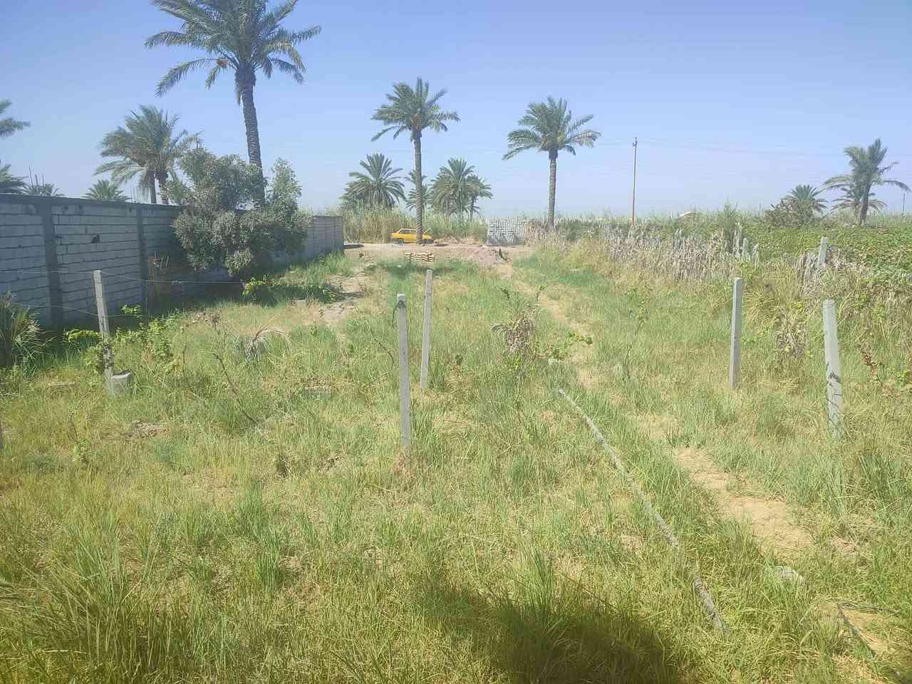 🌴 للبيع – 1000 متر 🌴
📍 الموقع: بغداد – المدائن – قرب مجمع بسماية 
🌊 تبعد عن شارع كوت بغداد 3 كيلو خلف محطه كهرباء بسمايه
📐 المساحة: 1000
🚪 واجهة 15 متر نزال 67متر
✅ خدمات كاملة (ماء – كهرباء – شارع سبيس _ماء بير أيضآ )
🌳 مشجّر ومناسب للسكن أو الاستثمار
السعر المطلوب بالقطعة 52 مليون وقابل للتفاوض 
📞 للاستفسار: ***********
