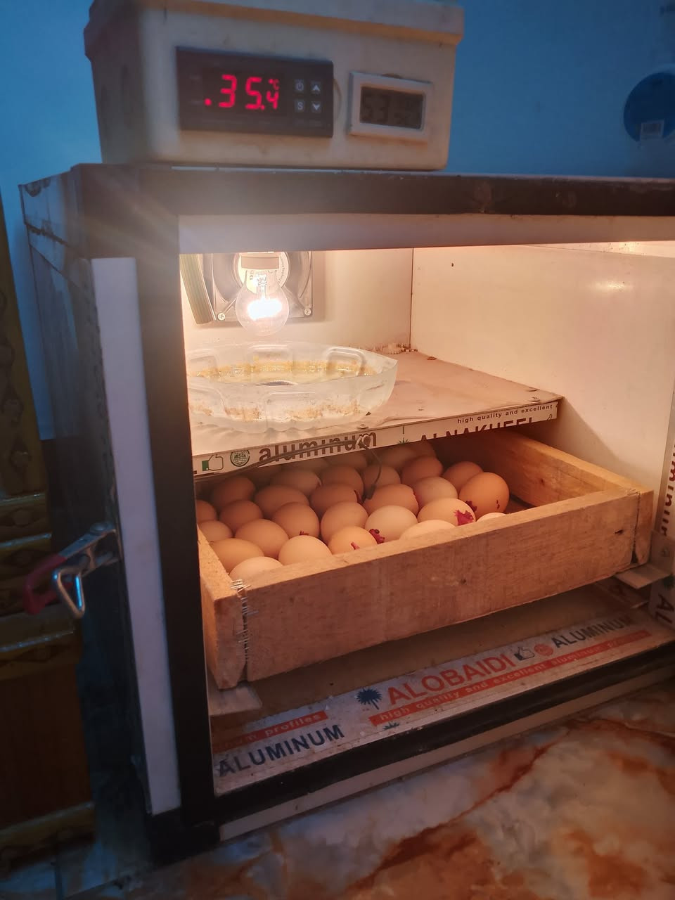 السلام عليكم فقاسه كامله مكمله للبيع سعرها 80 رقم تلفوني*********** مكان سويب ل 200
