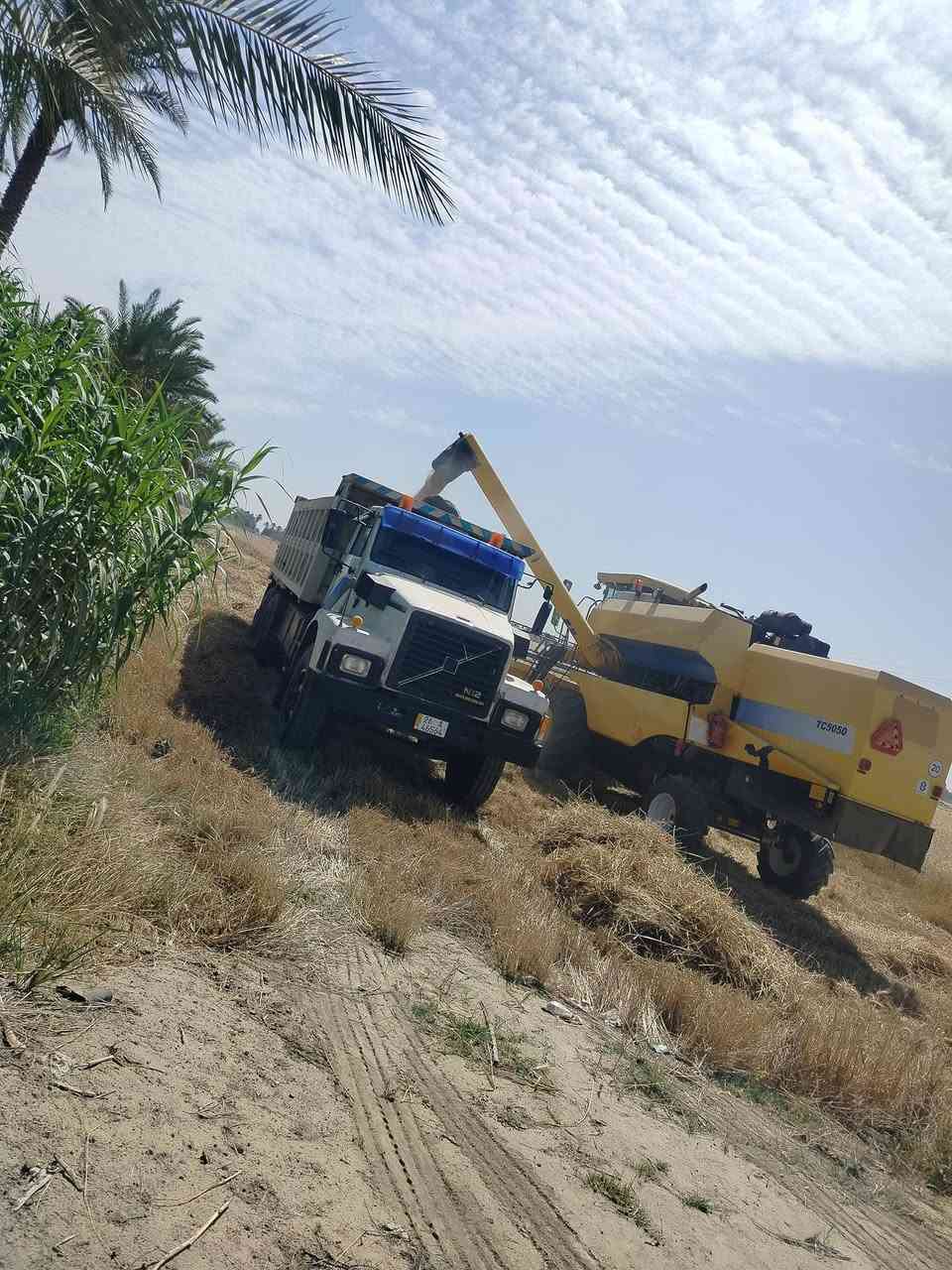 السلام عليكم فالفو للبيع اسرائيلي موديل 89بلادي مكينة ستندر 122 كير اربعه باربعه سيارة تخم تاير  مجموعة النكي دوشمه جديدة رقم انكليزي باسمي مداور ثاني يوم سنوية صادرة السنة 2031ما عليه غرامات سيارة جاهزة للعمل رقم الهاتف ***********
