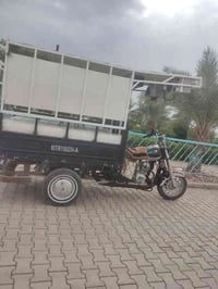 ستوته • موديل 14 • نجف حولي