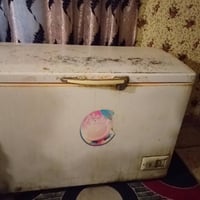 مجمدة • مطعم • غزاليه