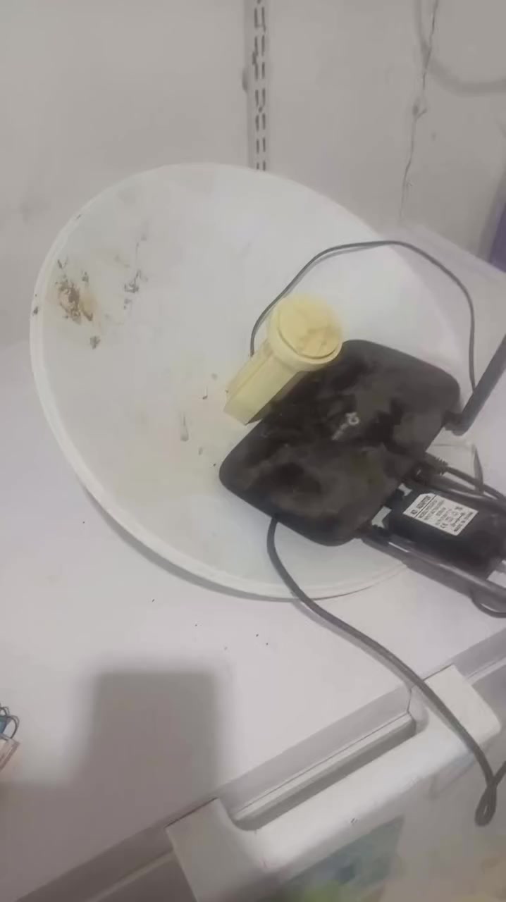 شبكه صحن عوزه برمجه والراوتر شغال للبيع
سعرهن قفل ب45 الف مناسبات 
الاتصال ***********
