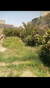 بيت ديوانية • ٣ غرف • قرب معمل ألبان