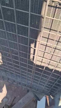 مولد • بابل القاسم