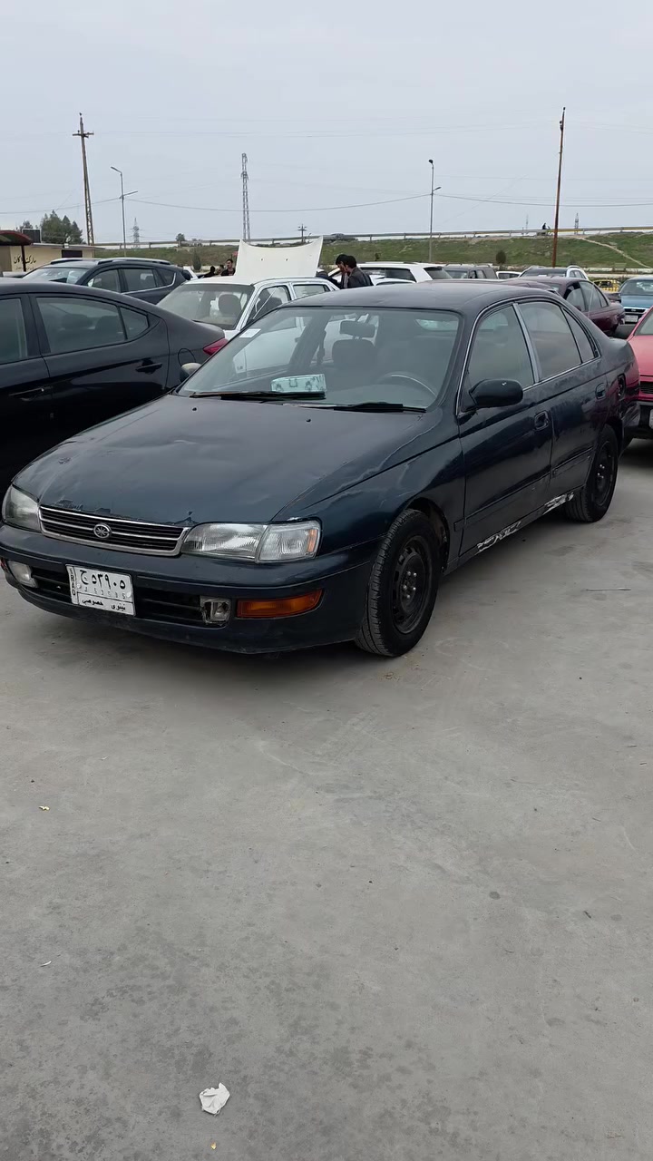 السلام عليكم،، 
مكلف مكلف اتصل على صاحبها وينطيك التفاصيل اسمع الفيديو للتوضيح ***********
هذا حساب صاحبها غثوان مخاوي الذيب
