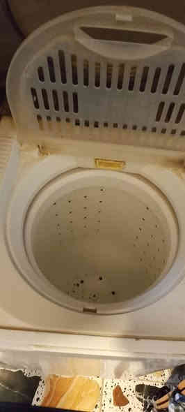 السلام عليكم 
#للبيع
غسالة عادية نوع هيتاشي الخليجي الاصلي مستعمله مطاوراتها الاصلية  حجم 10 كيلوات 
الغسل تشتغل التنشيف يعوزو تصليح بسيط 
مكاني الموصل الايسر 
السعر ٦٠ بي مجال التواصل عالرقم ***********
