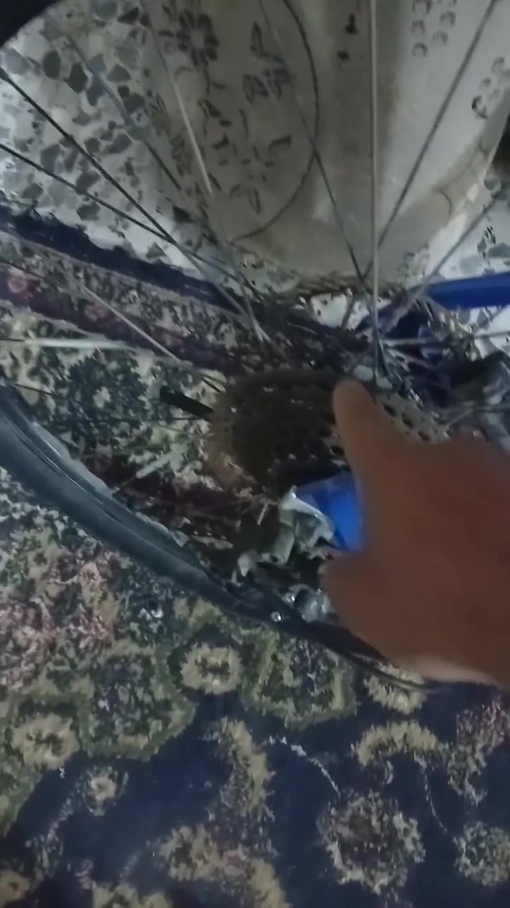 باسكل جبلي 100 كربلاء


**إذا كنت صاحب هذا الإعلان وتريد حذفه لأي سبب، رجاءا أرسل رسالة إلى الدعم الفني**