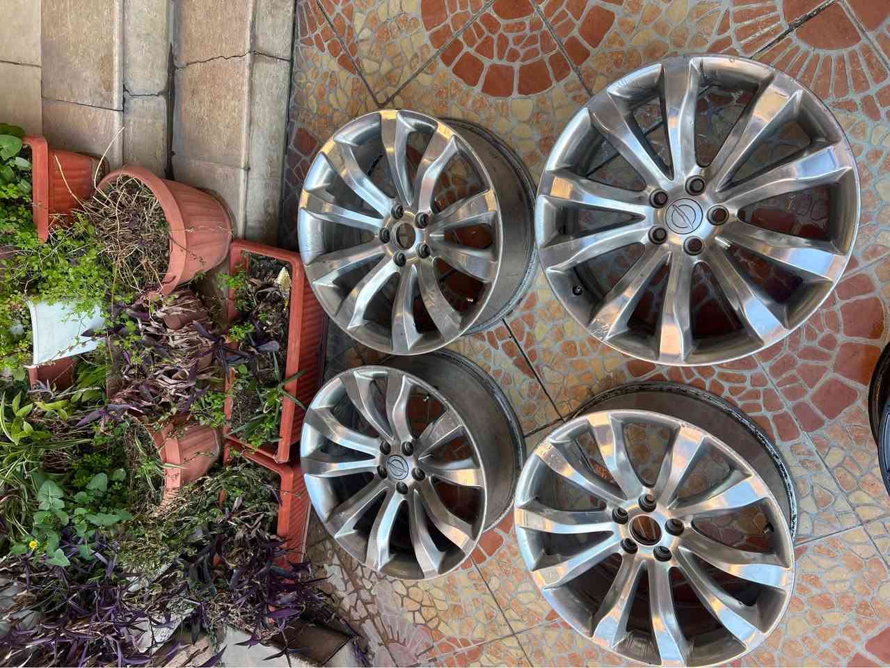 مكان دهوك سعر ٤٠٠ الف ويل حجم ٢٠ أربيل, العراق


**إذا كنت صاحب هذا الإعلان وتريد حذفه لأي سبب، رجاءا أرسل رسالة إلى الدعم الفني**