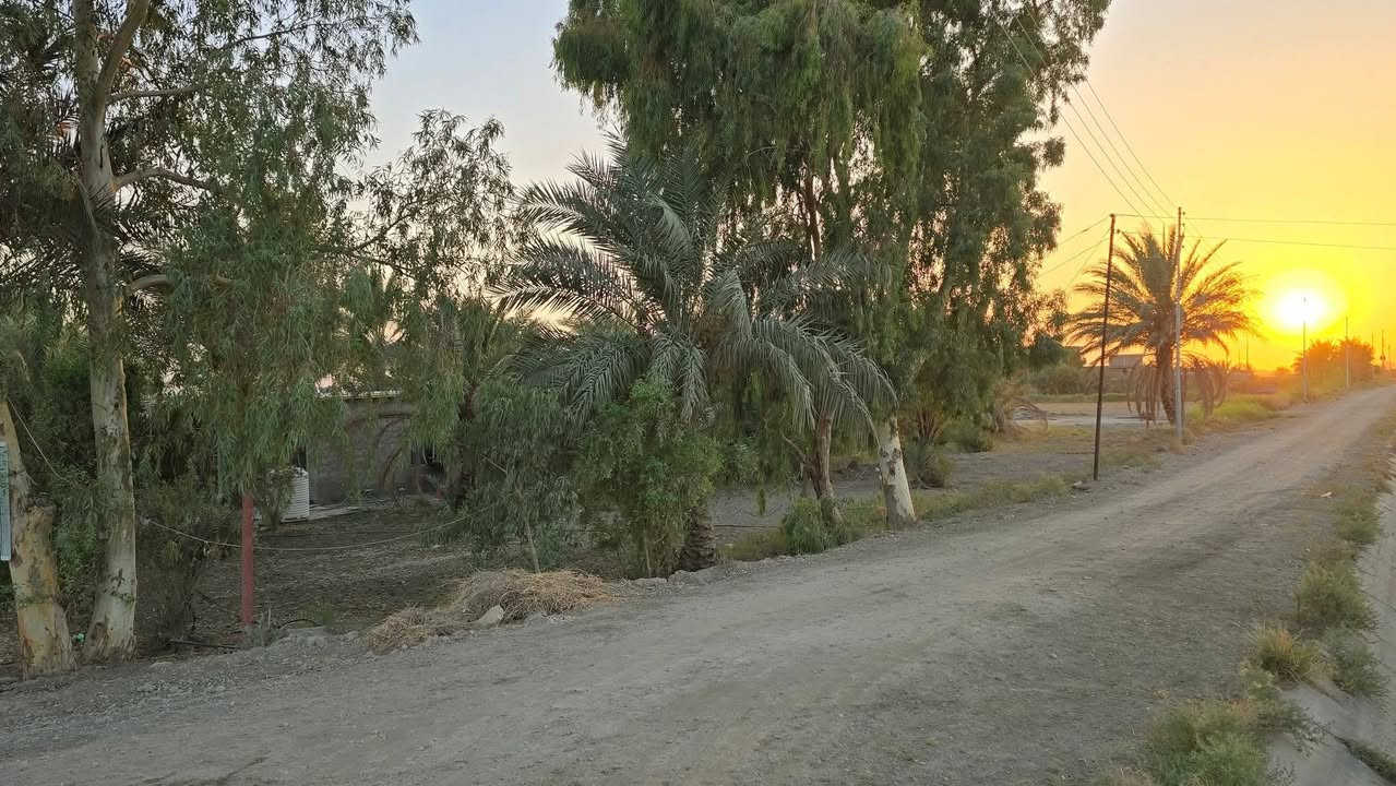 بستان للبيع ركن على شارعين وبي بيت واحد دونم 
مساحته 120 متر السعر 100وبي مجال 
جنس الارض طابو سند 25 فتح بيان بأسم المشتري
على التبليط مباشر العنوان تاجي ذراع دجلة بمنطقة الشيخ عامر بداية المنطقة
كامل ماء اساله وسقي وكهرباء 
للاستفسار واتساب ***********

