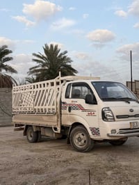 كيا حمل نوع فحل بغداد ،للاستفسار الاتصال على الرقم ،،واتساب  077325650...