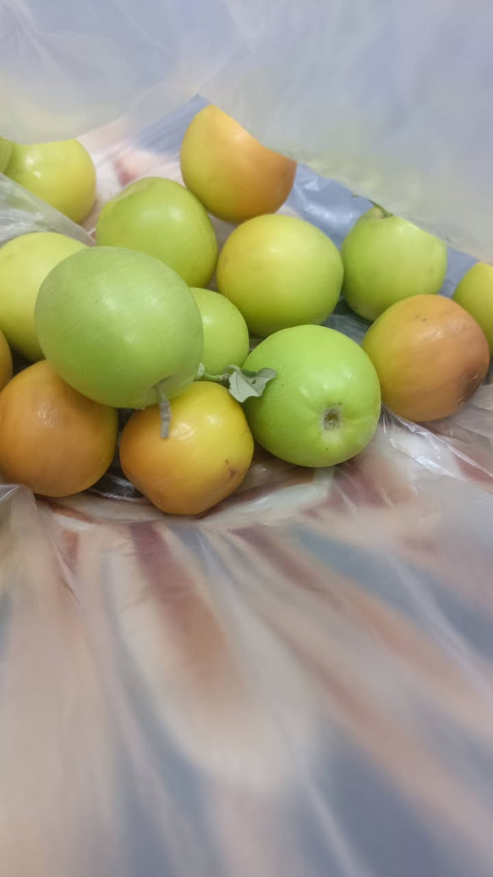 نبكه تطعيم اينوع سعر نبكه 25تطعيم ناصريه ***********
