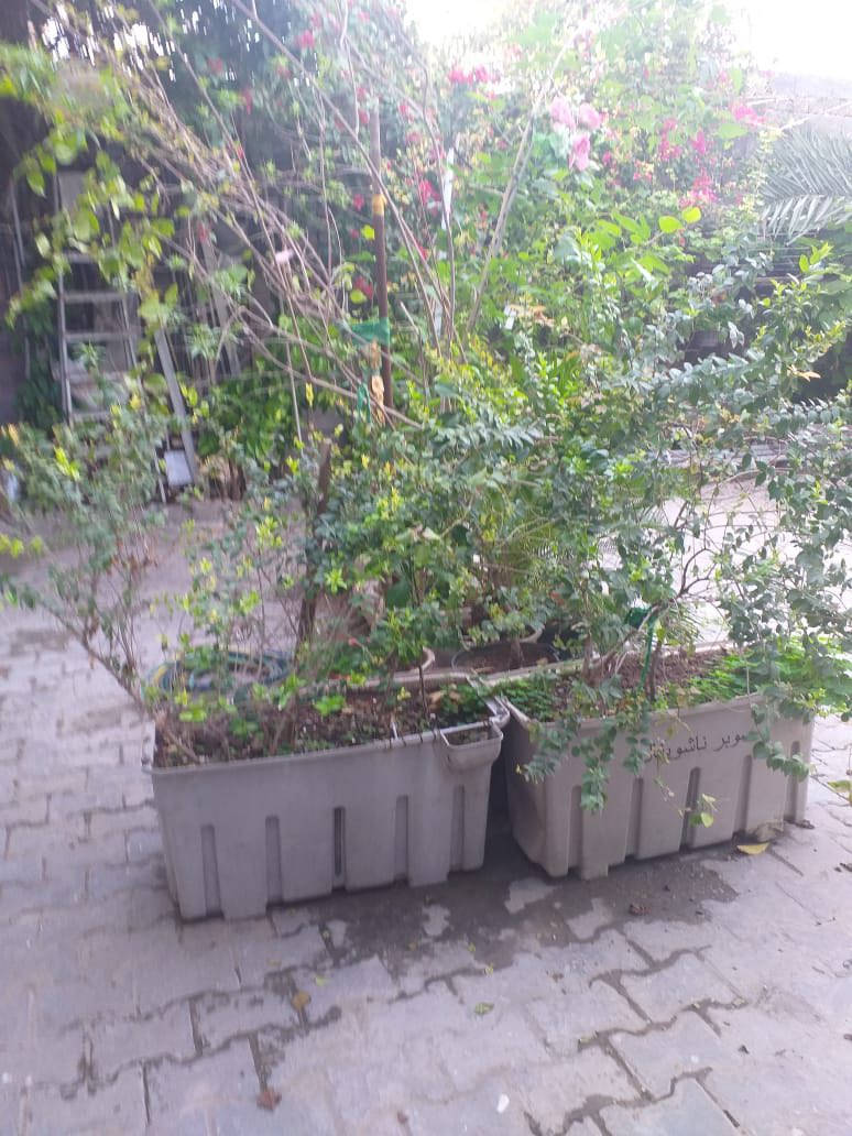 سنادين زرع للبيع 
رارنج 
جهنميه 
ياس 
تين 
نخل زينه سكايس

‭0772 637 0437‬
بسعر مناسب
