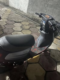 منغولي • كلش نظيفة • كربلاء