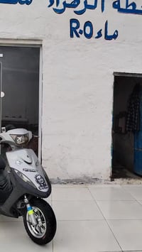 مامفتوحه • معدل ١٢٠ • نعمه