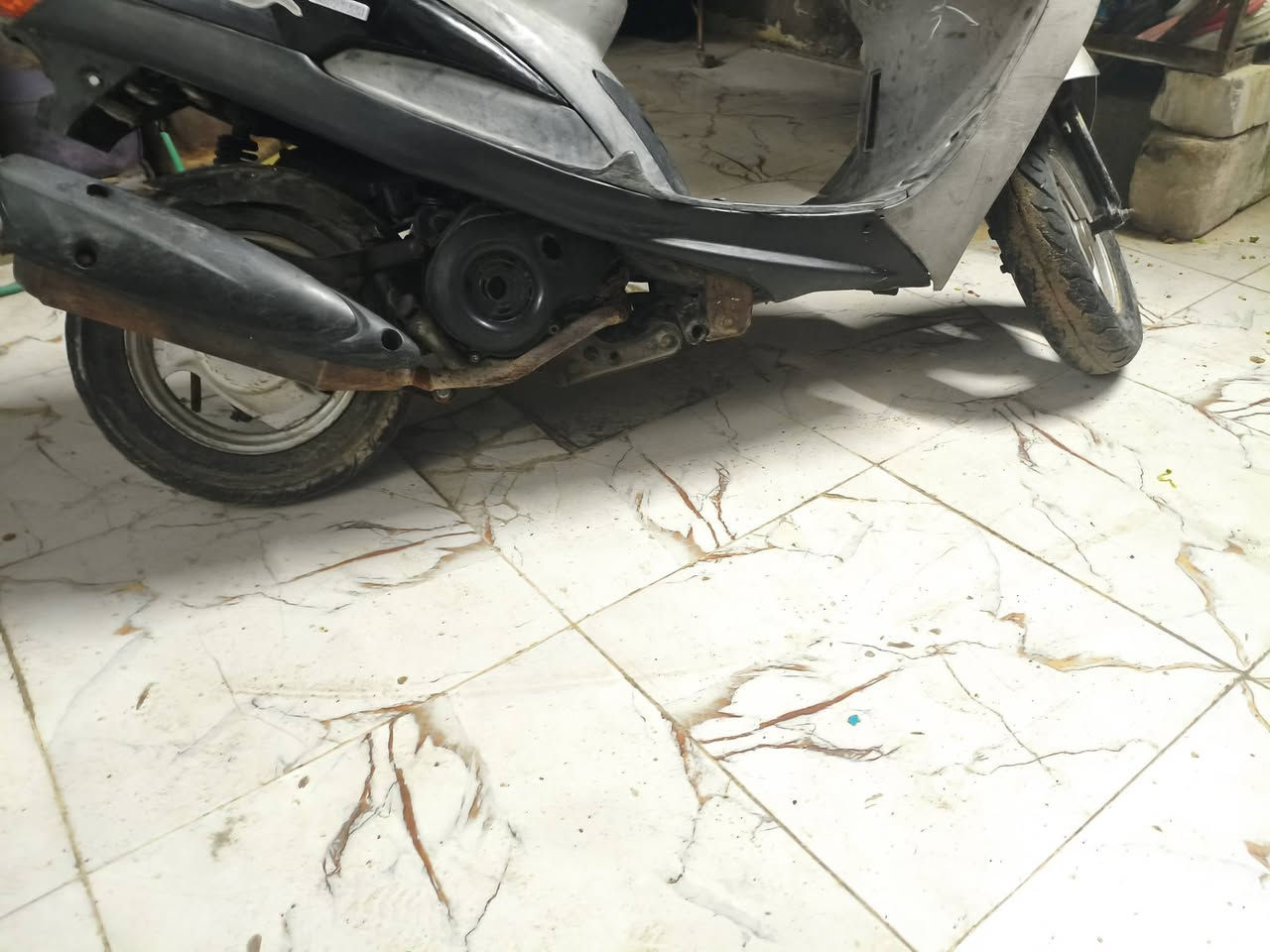 السلام عليكم ماكس منغولي للبيع بوشه 55عايزه كابريته ب300بيها مجال


**إذا كنت صاحب هذا الإعلان وتريد حذفه لأي سبب، رجاءا أرسل رسالة إلى الدعم الفني**