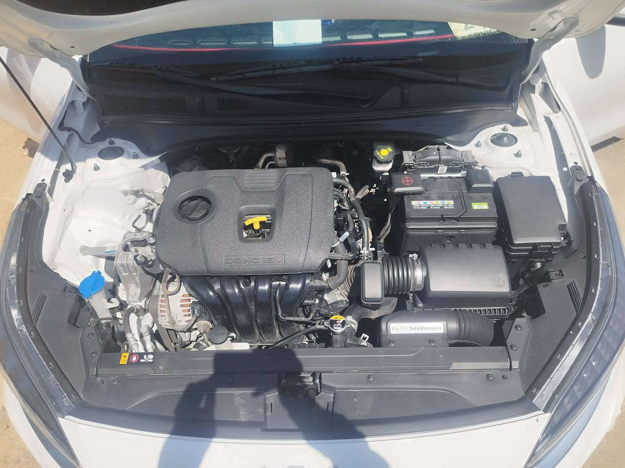 كيا سيراتو
موديل2024 خليجي كفاله عامه

فول مواصفات من عده البصمة رقم بغداد انكليزي مداور ثاني يوم هزه جديده 

مواصفات فول 

فتحه سلايت روف

لد نهاري 

حساس خلفي

ويل كب كروم. 

تبريد قطعتين

دواخل لونين 

ماشيه 30 الف وقابلة للزيادة بوضع الشركه 

تبريد قطعتين 

مكينه 2000 دوش 

سيارة جديدة 

دوشمة نايلون الاصلي كل السياره  كاملة مكاني السماوة الوركاء 

رقم التواصل ***********

السعر 192 وبيها مجال بسيط
