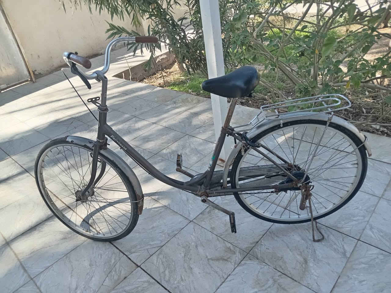 باسكل للبيع حجم 26 كلش ما عوزه سعر خاص شراي. بي خير ويدلل


**إذا كنت صاحب هذا الإعلان وتريد حذفه لأي سبب، رجاءا أرسل رسالة إلى الدعم الفني**