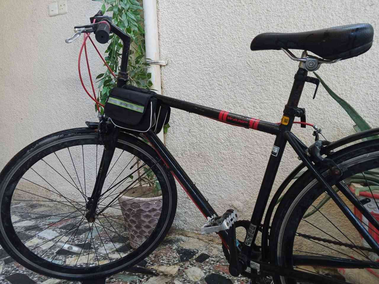 السلام عليكم C700 متروك فترة ما استخدمة ياباني كل ملحقاتة موجود بالصور , رايدة بـ 120 وبي مجال مكاني بغداد العبيدي


**إذا كنت صاحب هذا الإعلان وتريد حذفه لأي سبب، رجاءا أرسل رسالة إلى الدعم الفني**