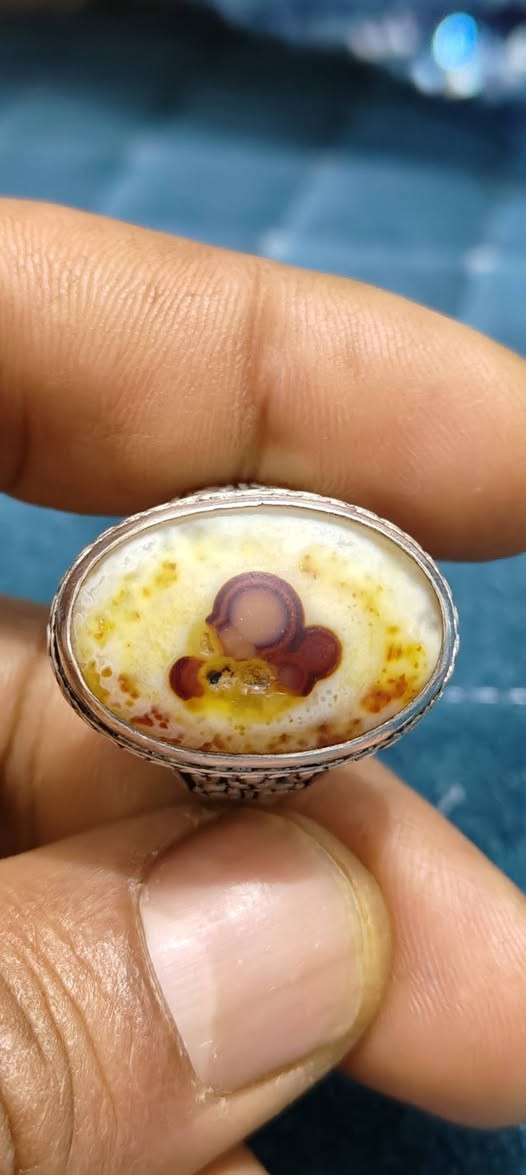 سليماني نوادر عطف
***********
