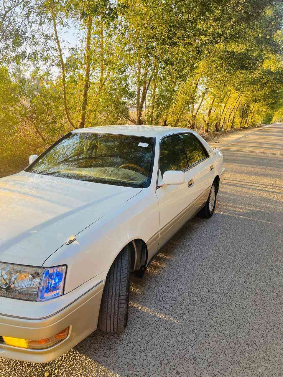 السلام عليكم
رأس ثور للبيع رقم كركوك أرقام حديد سنويه عضم عاج

سياره فول عده الفتحه موديل ١٩٩٨ مكينه ام بطل اسود

 غرفه مشجر دشبول  جديد بجم ابو عيون جديد كفاله عامه كص وضربه وصبغ مفحوصه كامله واصل للكمرك سياره جاهز عل اخر حبايه مكان بابل سده الهنديه السعر ٧٥ وبيه مجال قليل ***********
