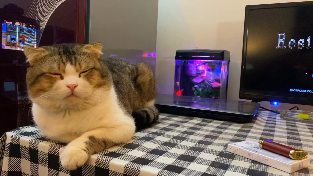 classic games consoles room 💗

#جمعة_مباركة


**إذا كنت صاحب هذا الإعلان وتريد حذفه لأي سبب، رجاءا أرسل رسالة إلى الدعم الفني**