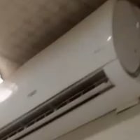 سبلت • توسوت • ٢ طن
