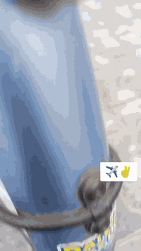 بايسكل بنات • ياباني • موديل ١٥