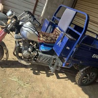 ستوته • فحل • ٢٠١٧