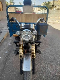 ستوته • ٢٠٢١ • بدون أوراق
