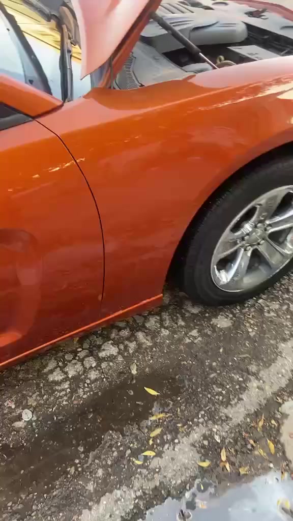 جاوجر 11
اكلين
بيه باب صبغ والباب الثاني جزء منه بيه صبغ
مكينه كير كارتون صار ٤ تشهر من امبدلهن
سنويه بسمي 
سياره كامله مكمله الف ما ذب 
عليه
مكاني مدينه الصدر السعر 145
التصال على الرقم 
***********
