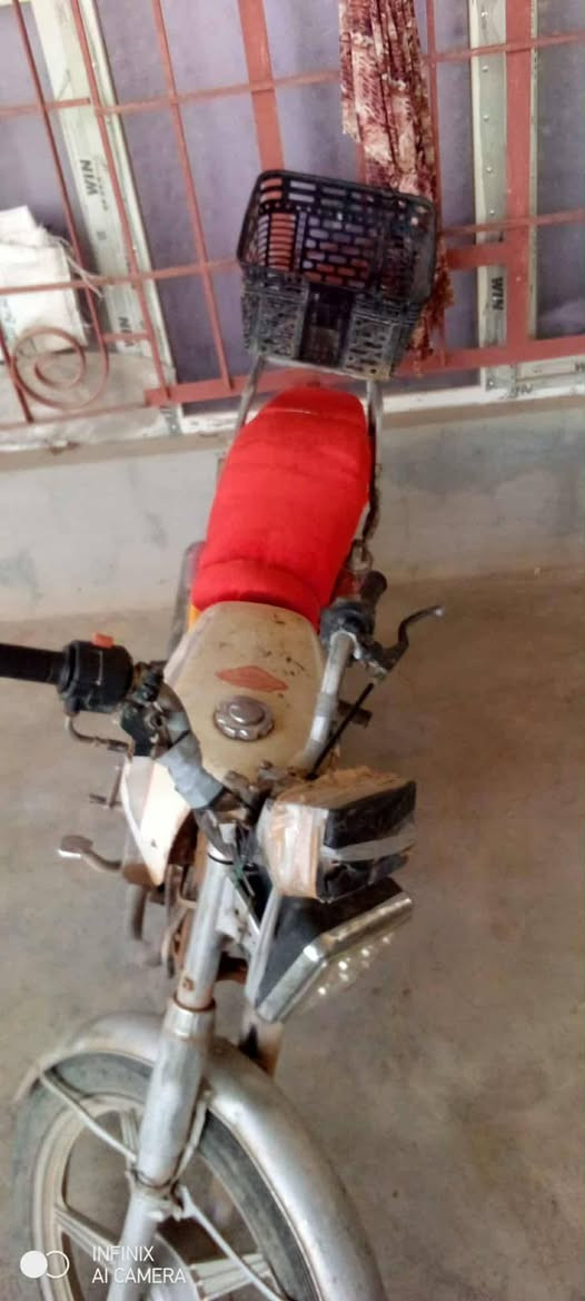 السلام عليكم موطور للبيع
جني

كهربائيّات شغاله 

مال شغل 

مكاني الزويه

اذا ماتشتري لا تراسلني و لا تعامل 

السعر 100 الف قفلل 
 

للاستفسار خاص او *********** اتصال
