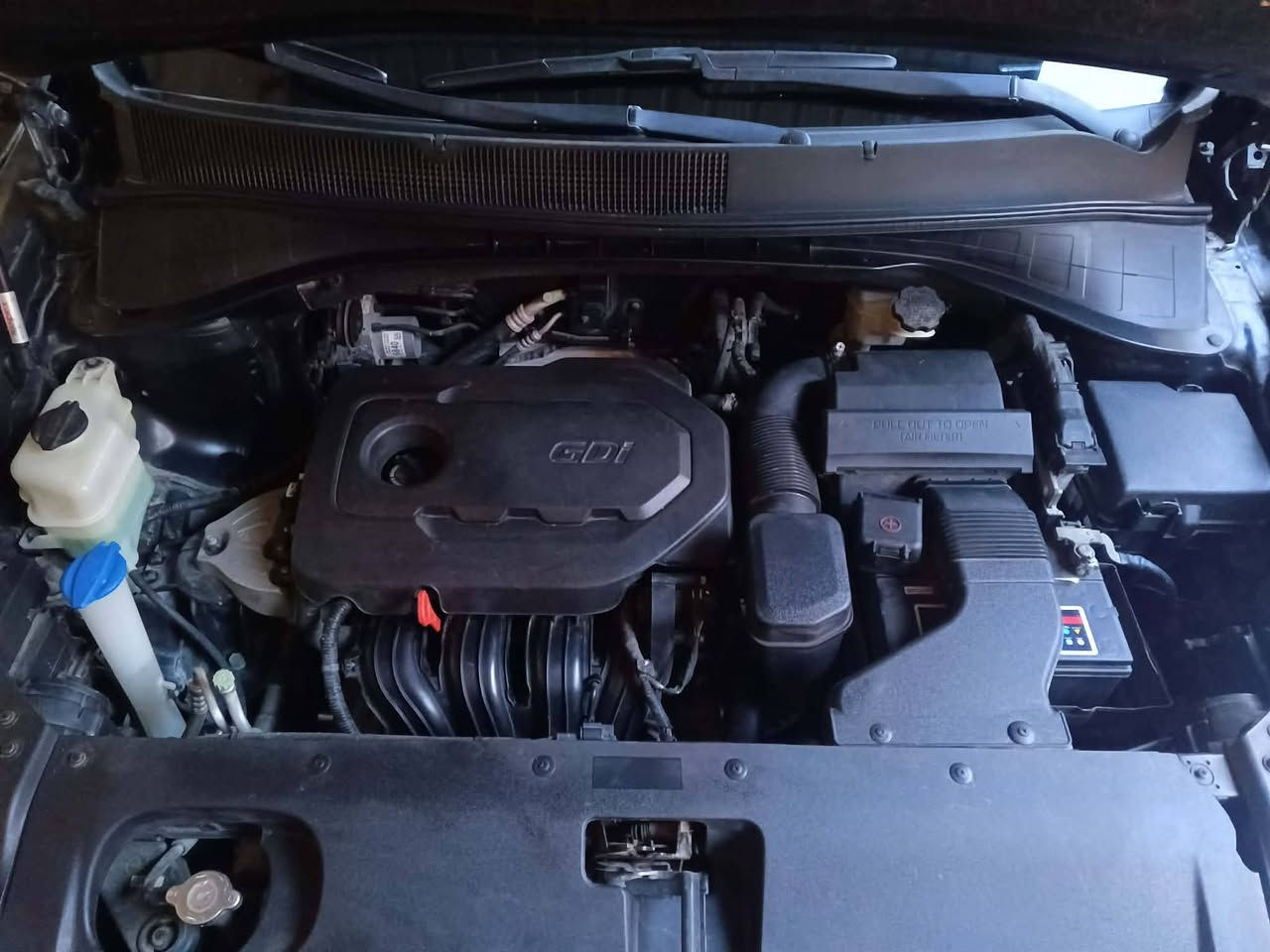 سلام عليكم
سياره سورنتو 
موديل 17
وارد امريكي 
اربعه سلندر 2400جي دي اي 
خمسه راكب 
تحكم ستيران جهتين
اشاير بالمري 
كشنات كهرباء 
تدفه تبريد 
حساست امامي خلفي 
شاشا كمره
الضر شبر جاملغ وشبر بنيد بيه سونار 
عنوان الناصريه 
قضاء الغراف 
السعر 155
بيه مجال بصيط 
رقم ***********
