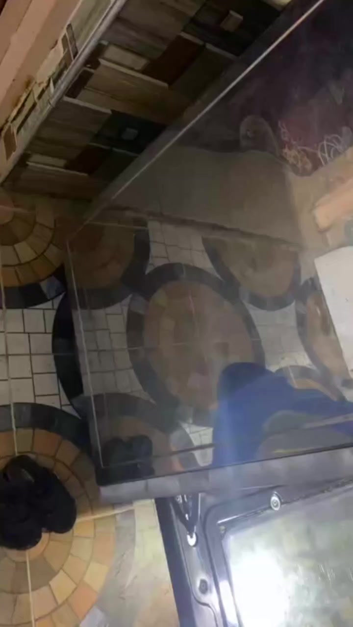 طباخ كريازي 200استيل بلادي ***********
